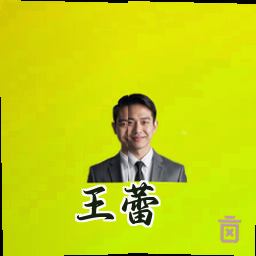 王蕾